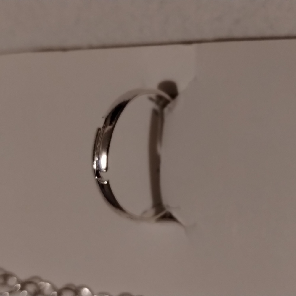 Toe Ring/Anklet Slave Jewelry! - Picture 5 of 9
